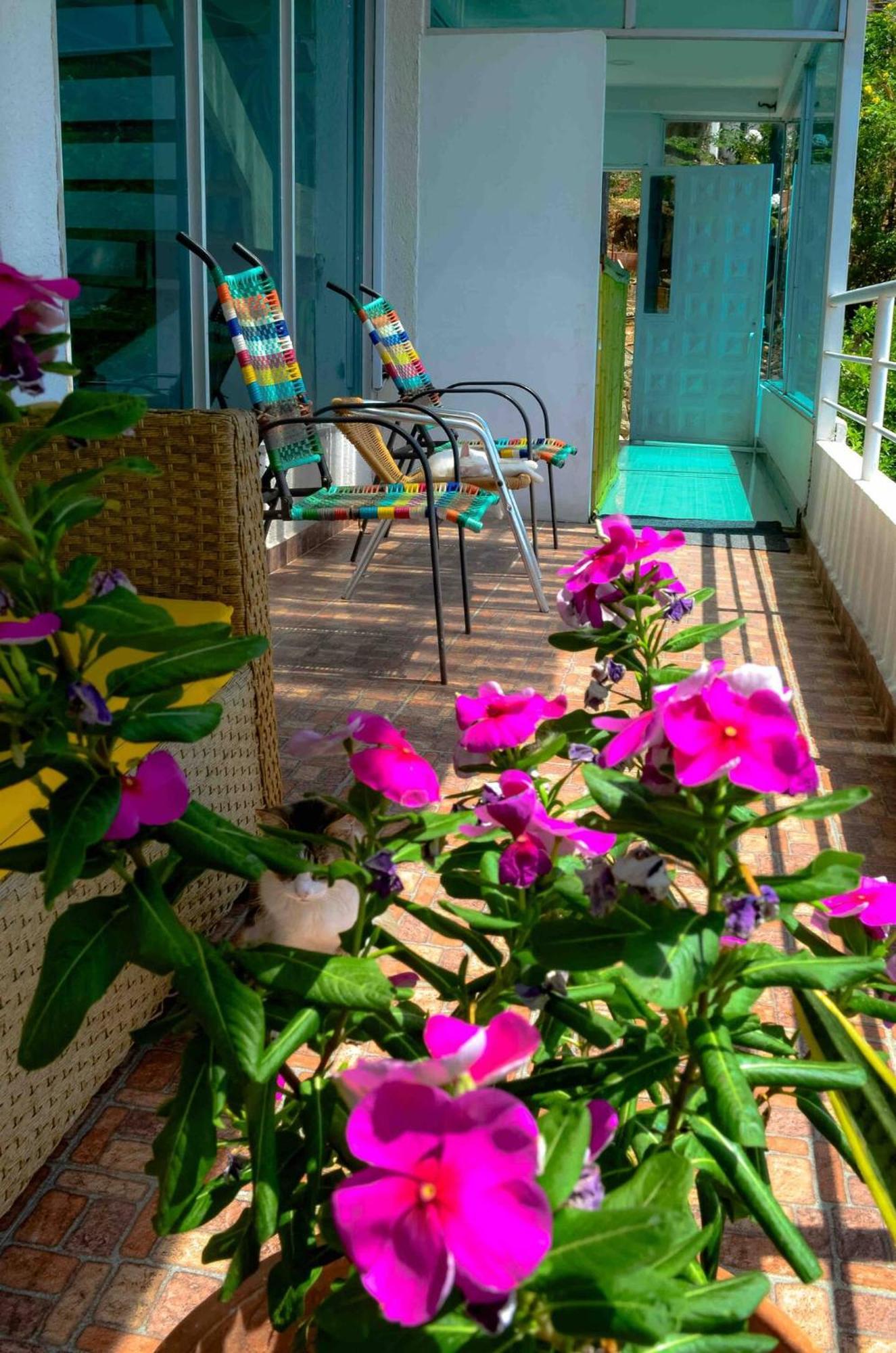 Casa Babel Taganga Hotell Santa Marta  Eksteriør bilde
